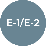 E Visas 2 E1-E2 Treaty Trader-Investor Visa