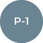 P Visas 2 P Visas
