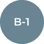 B-1 Business Visitor Visa